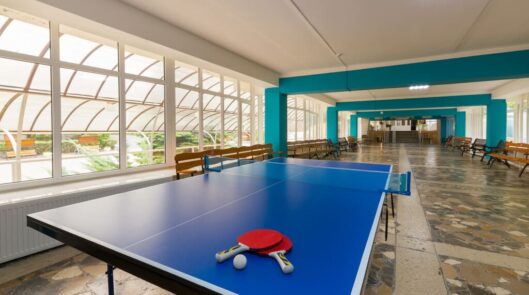 Настольный теннис